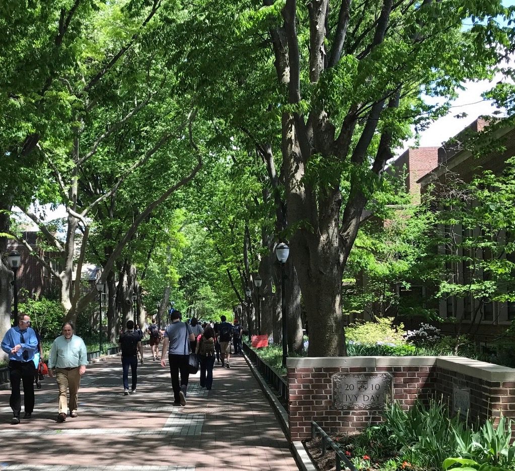 A tree-lined walkway on a sunny day with people strolling. A stone sign on the right reads "Ivy Day 2010," set amid green foliage and brick buildings.